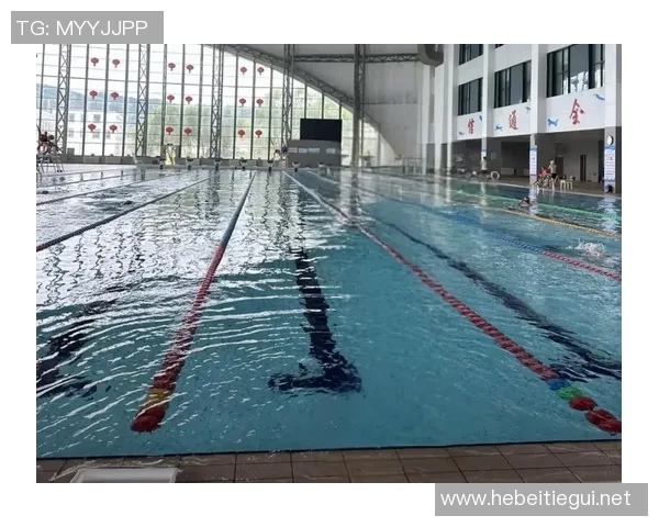 公共泳池管理与服务创新探索：提升市民健身体验与水质安全保障