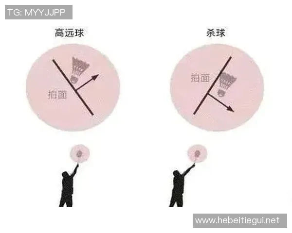 从零基础到高手之路羽毛球技术全方位提升指南